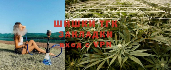 ешки Арсеньев