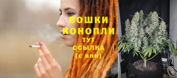 прущие крисы Армянск