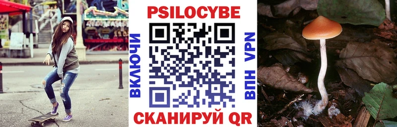 Псилоцибиновые грибы Psilocybine cubensis  где продают   hydra ONION  Долгопрудный 