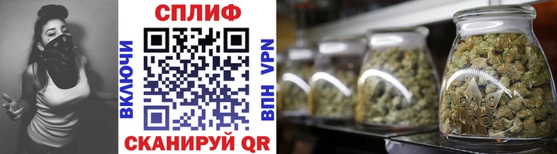 дарк нет какой сайт  Долгопрудный  МАРИХУАНА ГИДРОПОН 